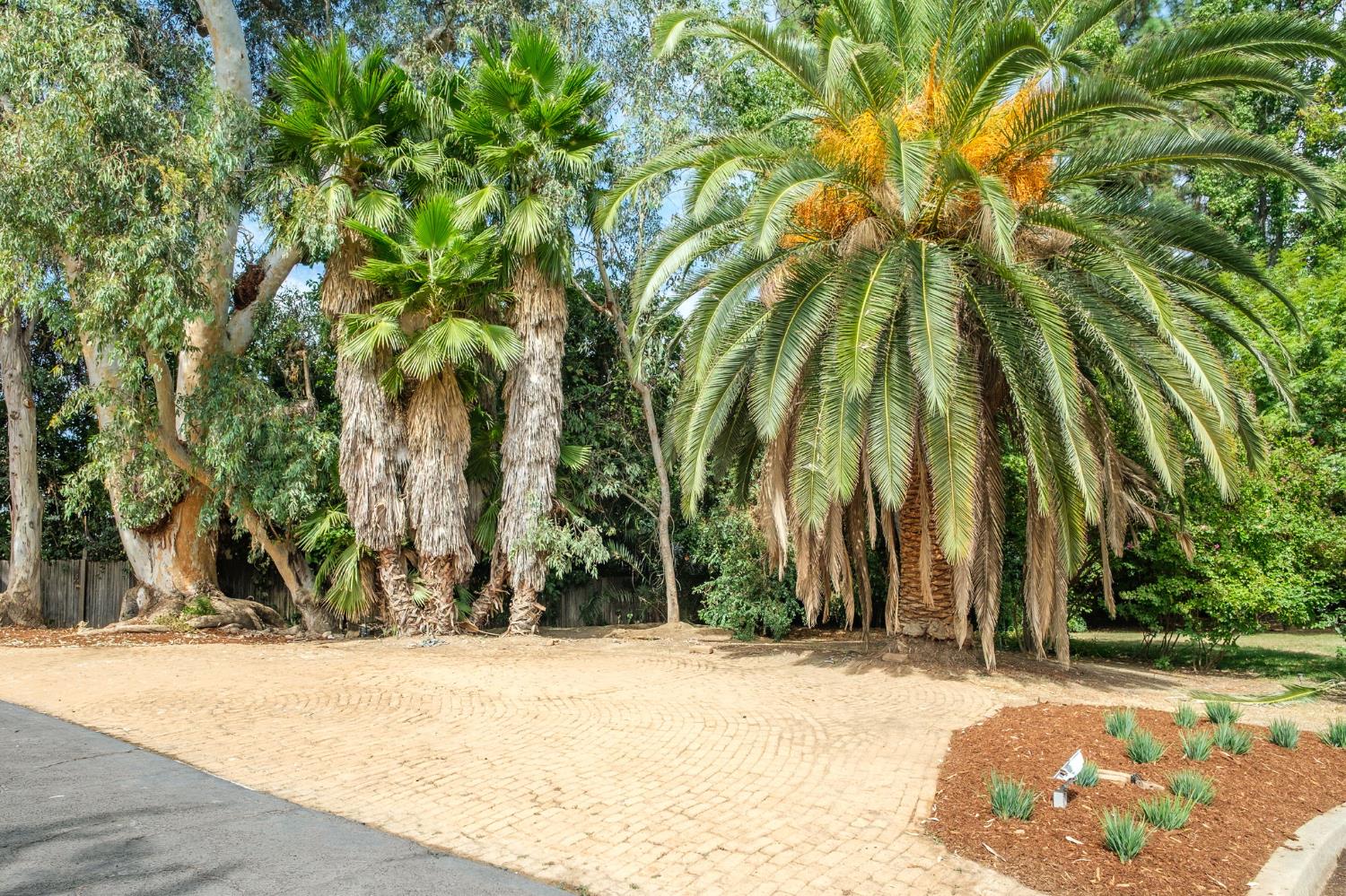 1685 W Robinwood Ln, Fresno, CA 93711